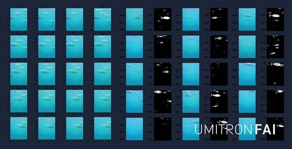 UMITRON推出首款實時海洋魚類食欲檢測系統